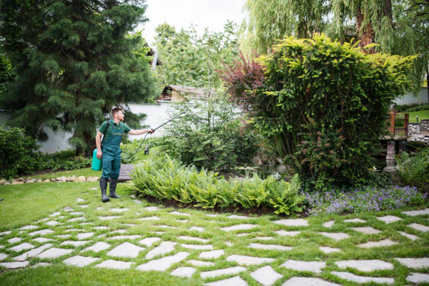 Best Affordable Pest Control Services  in Runaway Bay, TX